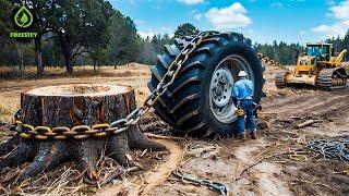 Extreme Dangerous Fastest Big Chainsaw Cutting Tree Machines | Monster Stump Removal Excavator #77