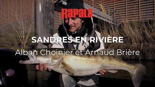 Pêche du sandre en rivière avec Arnaud Brière et Alban Choinier !