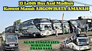 15 lebih unit bus asal Madiun Trip Argowisata Amanah || AGAM TUNGGA JAYA , WIRATAMA , TRANS SABA