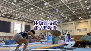 駒澤大学体操競技部　部活動紹介動画