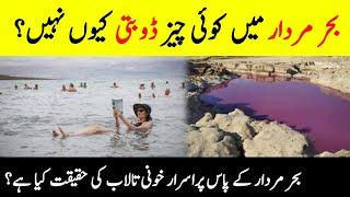 Mystery Of Dead Sea | Why Doesn't Anything Sink In The Dead Sea? | بحر مردار کی حقیقت| INFOatADIL