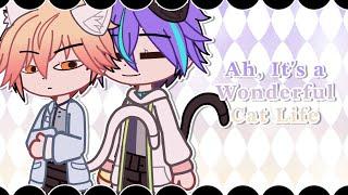 ah it's a wonderful cat life || ruikasa || project sekai || gacha club || lazy
