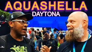 It's Coachella for Aquariums! Aquashella Daytona 2023