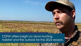 California Dove Hunting and Habitat with Ian Dwight