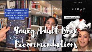 TIKTOK: Young Adult Book Recommendations 2021