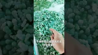 中国广东四会是天光墟毛货翡翠市场哦，全球最大的翡翠加工基地，云南瑞丽和这里没法比，内行人都知道哦~