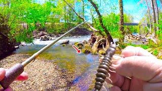 Let Me Show You An Easy Way To Catch Loads Of Fish In Your Local Creek!