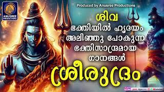 കഷ്ടതകൾ നീക്കി മനസിന് ആശ്വാസം പകരുന്ന ശിവഭക്തിഗാനങ്ങൾ | Shiva Devotional Songs Malayalam |