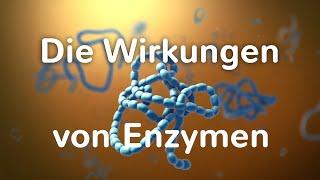 Die Wirkungen von Enzymen - Dr. med. Doepp bei der Fa. Citozeatec