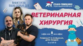 Ветеринарный хирург об операциях и послеоперационном уходе