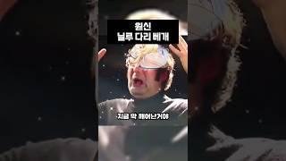 닐루 다리 베개