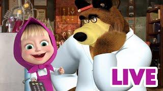 ماشا والدب ‍️ LIVE STREAM!  المنزل الذكي Masha and the Bear