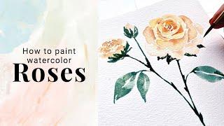 How to paint loose Roses in watercolor - Day 1