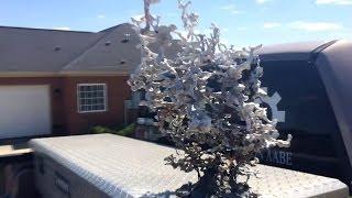 Fire Ant Colony Aluminum Casting