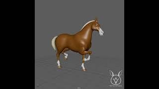 Animation Reference - Horse Trot