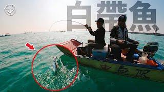 餌全被剪光！被欺負最慘的一次！白帶魚釣遊！#鵝大人 #泡棉船 #天亞