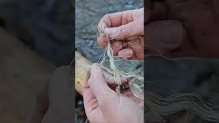 Making a Primitive Candle from natural materials