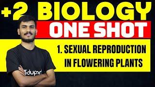 Plus Two Botany | Chapter 1 | Sexual Reproduction in Flowering Plants | One Shot | Eduport Plus Two