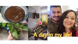 BAKE A CAKE|| A DAY IN MY LIFE|| NIRUPAMA KUKRETI