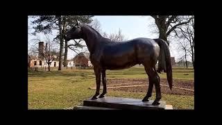 Königsberger Gebiet/Kaliningradskaja Oblast: Trakehnen - das Pferdeparadies im alten Ostpreussen