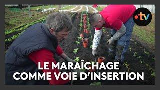 Emploi : le maraîchage comme voie d'insertion