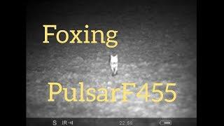 Part 44. Foxing, pulsar f455, 100m-30m