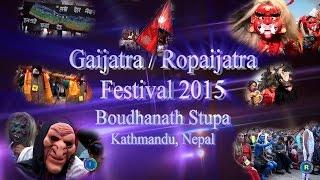 Gai Jatra / Ropai Jatra Festival 2015