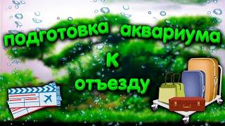 Как подготовить аквариум к отъезду или отпуску.