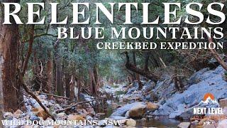 Unforgiving Journey Off the Beaten Path in The Heart of The Blue Mountains!