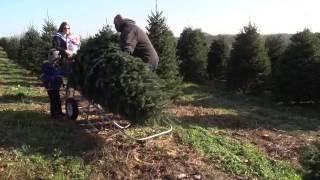 Blue Ridge Christmas Tree Farm Tour