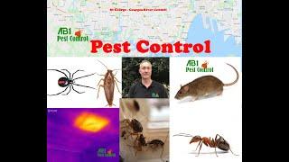 Pest Control Sutherland Shire and Termite Inspection