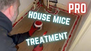 Pro MOUSE CATCHING tips and techniques! CONTACT GEL to get rid of mice. Best mouse trap advice.