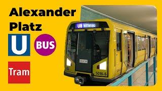 Yellow Transports - Transports at Alexanderplatz (BVG)