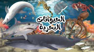 اغنية الحيوانات البحرية  | اغاني اطفال بون بون