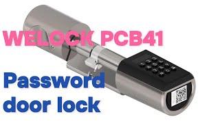 WELOCK PCB41Review,password smart door lock #welock #welocksmartlock