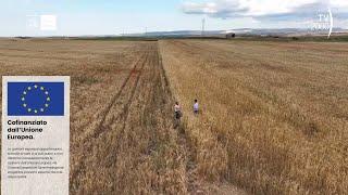 Agrinet: il futuro in campo -  “Lucania: l’agricoltore custode, una storia di passione per la terra”