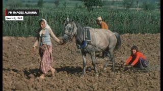 Kosovo, 1980: Jeta në Kosovë në vitin 1980