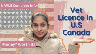 NAVLE - Everything you need to know before applying for Vet license in USA, Canada