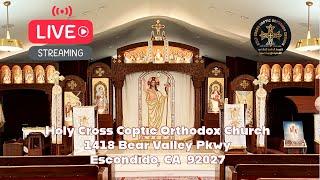 Divine Liturgy (Sun, May 25, 2025)