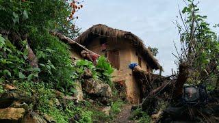 Beautiful And Relaxing Nepali Mountain Village Life of Nepal || Daily Activities of Village People