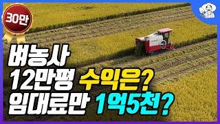 12만평 벼농사 지으면 수익은? 임차료 내고 나면 내손에 얼마 남을까?