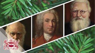 Collections and the Linnean Society: Horticulture in the Linnaean World | Mark Spencer