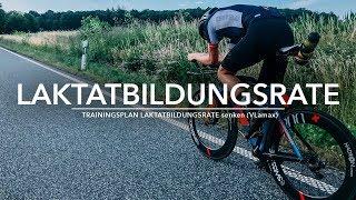 TRAININGSPLAN LAKTATBILDUNGSRATE senken (VLamax)