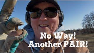 Lightening Strikes Twice Metal Detecting! #metal detecting