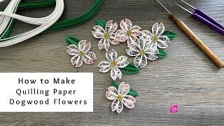 How to Make Quilling Paper Dogwood Flowers | Quilling for Beginners