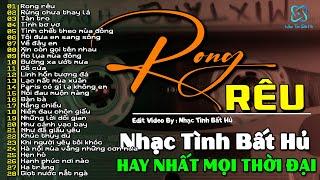 Rong Rêu | Tuyệt Phẩm Để Đời Nhạc Tình Bất Hủ Đình Đám Một Thời, Hải Ngoại Xưa Hay Nhất Mọi Thời Đại