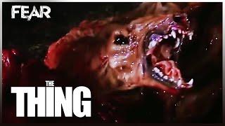 The Thing Dog Transformation Scene | The Thing (1982) | Fear