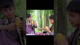 سنګلاخ ته په چکر راغلي ګلالي ماشومان
