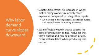 Labor Economics: Labor Demand and Supply I