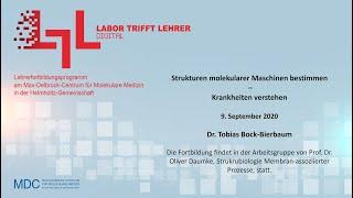 Labor trifft Lehrer – digital! Dr. Tobias Bock Bierbaum über Molekularstrukturen | #LTL